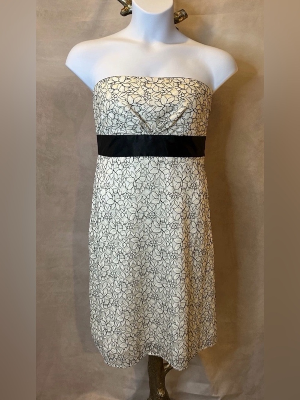 White House/Black Market Strapless Cream Lace Party Dress w/Black Details Size L